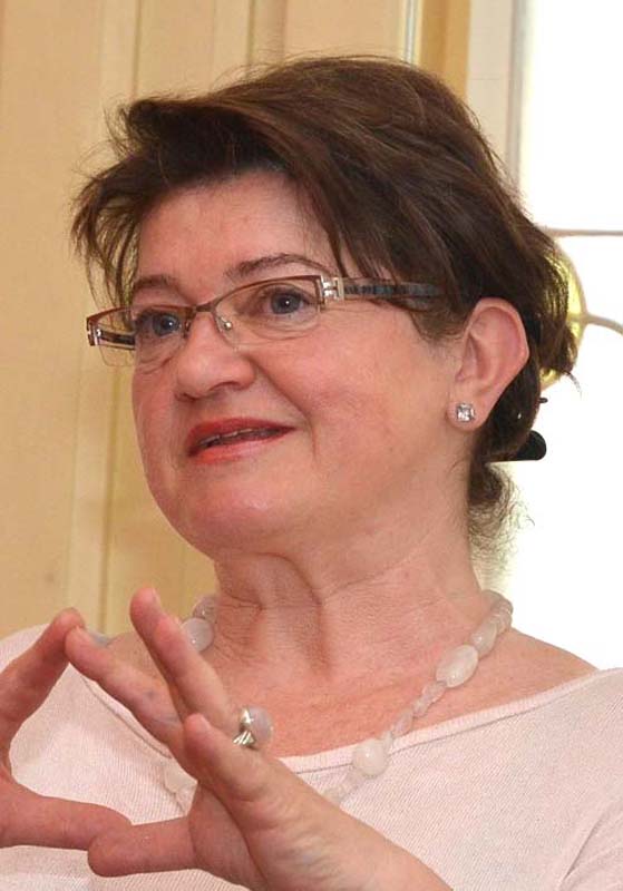 Ramona Novicov, critic de artă