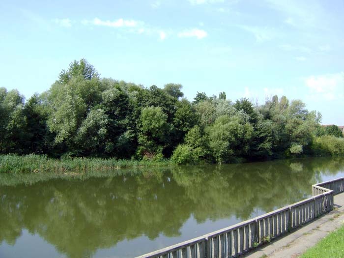 03_insula_azi_bihoreanul.jpg