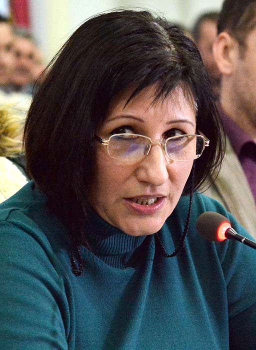 Carmen Lezeu, Asociația Sîntandrei Metropolitan Area