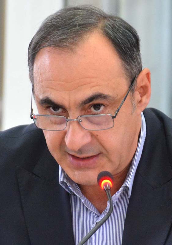 Călin Gal, consilier PNL