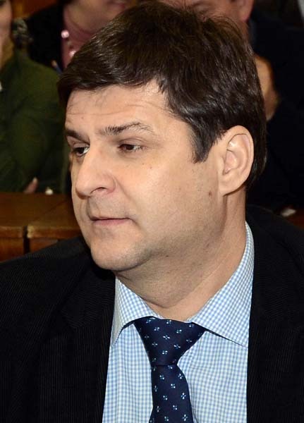 06 Daniel Negrean.jpg