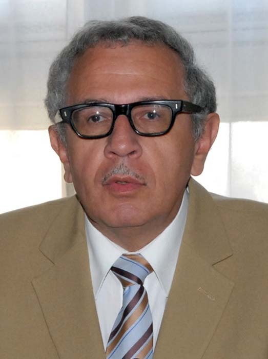 Mihai Drecin, profesor universitar