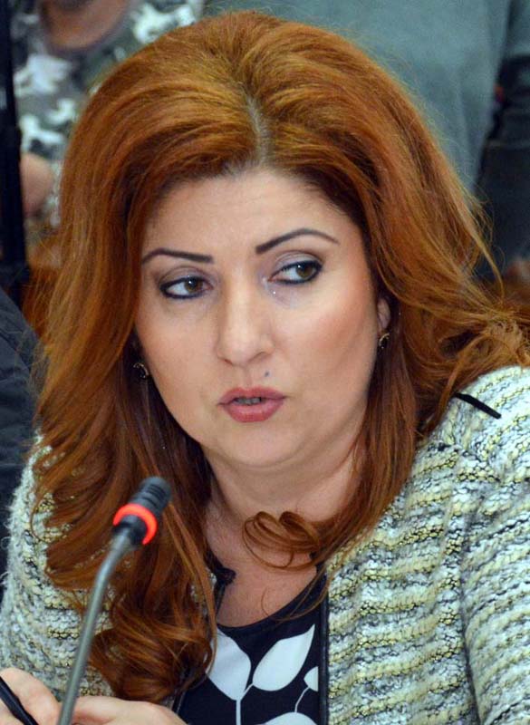 Mariana Blaga, consilier PSD