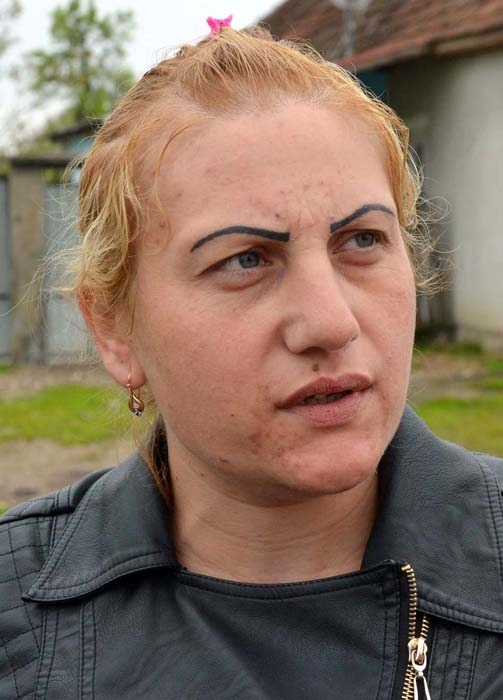 Violeta Haraga, mediator