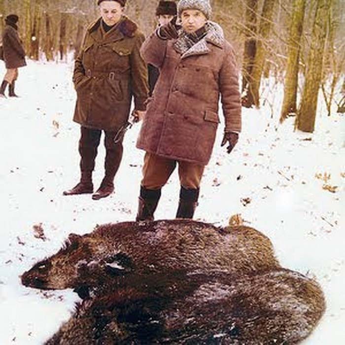 Ceauşescu la Vânătorea de la Balc