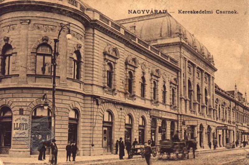 fosta hală a comercianților, Facultatea de Medicină și Farmacie