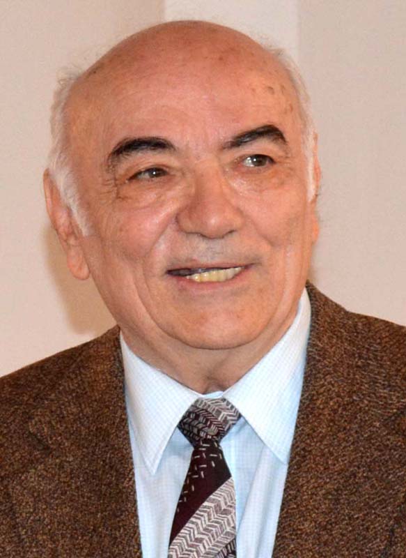 Alexandru Pop, istoric