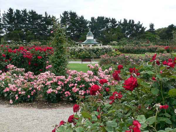 09-rose-garden.jpg