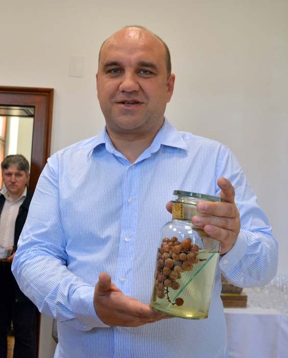 Mados Attila, primar Diosig
