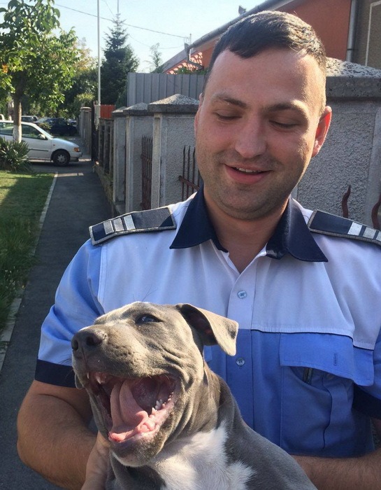 Polițistul Bogdan Mutu