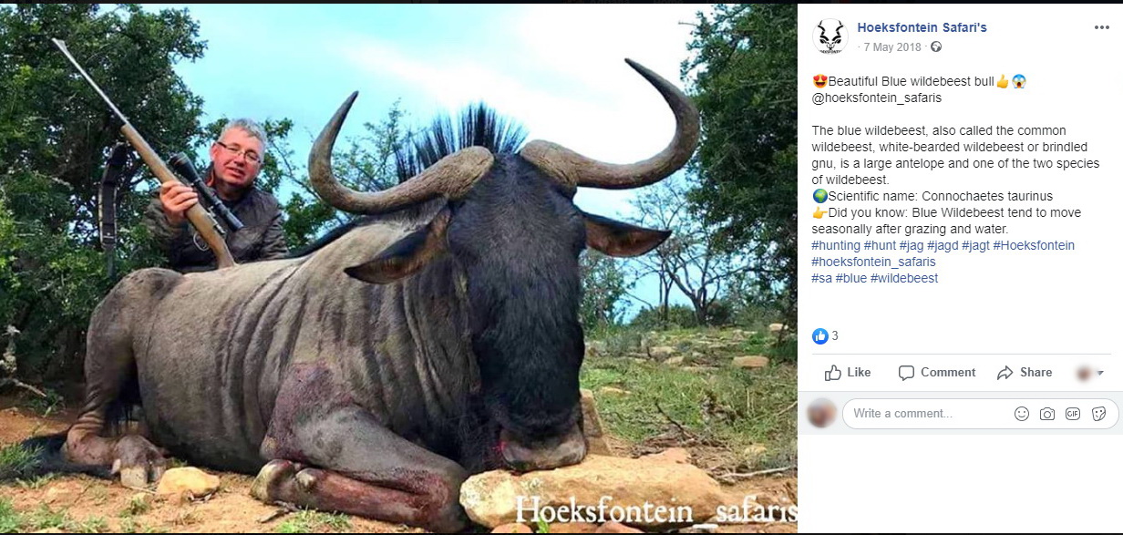 Pasztor si gnu