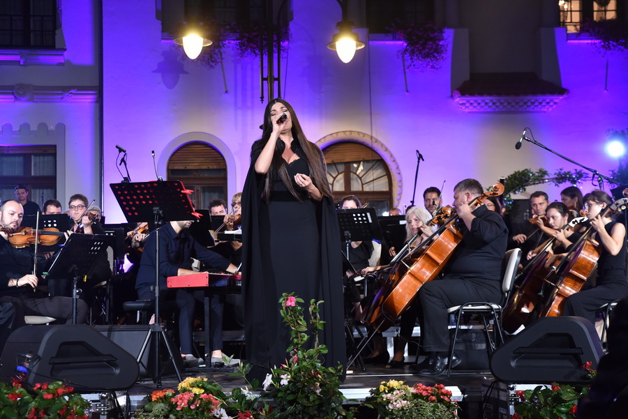 Paula Seling, concert Oradea