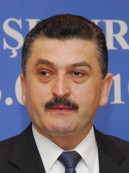 Radu Tirle.jpg