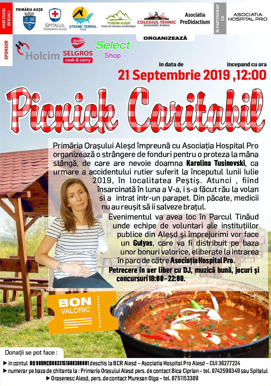 Afiş picnic caritabil