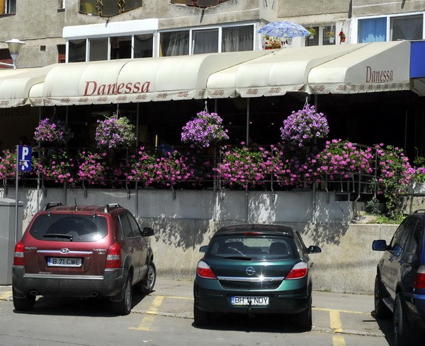 cofetaria danessa.jpg