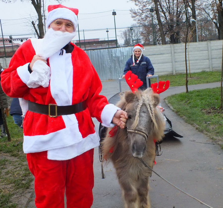 Moş Crăciun la zoo Oradea