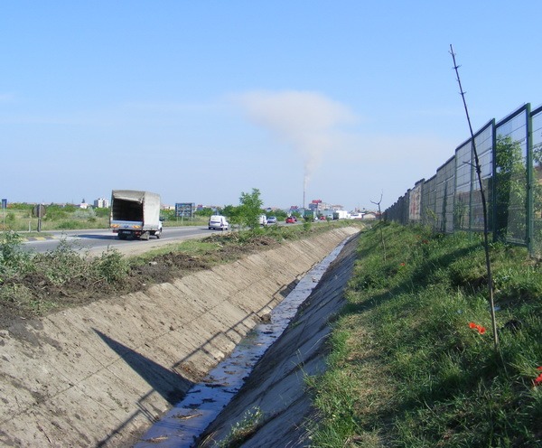 dupa.jpg