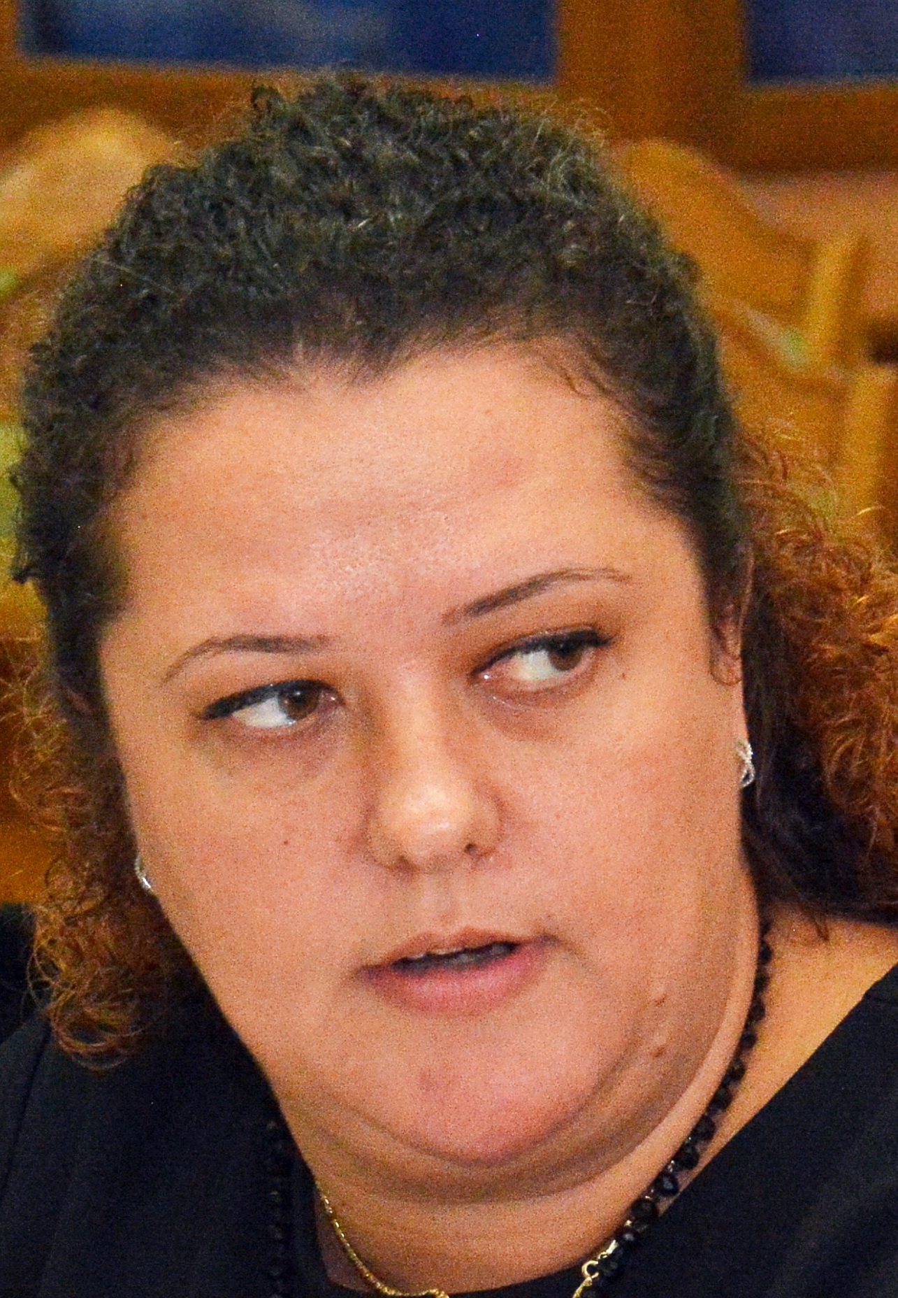 Kirei Melinda, liderul UDMR-iștilor din Consiliul Local Oradea