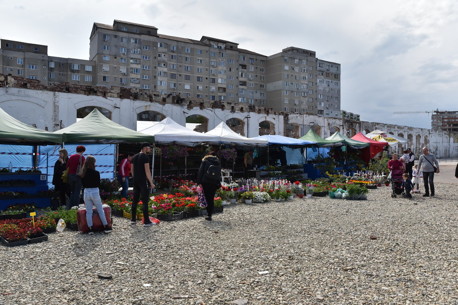 vânzători de flori Piața Cetate Oradea